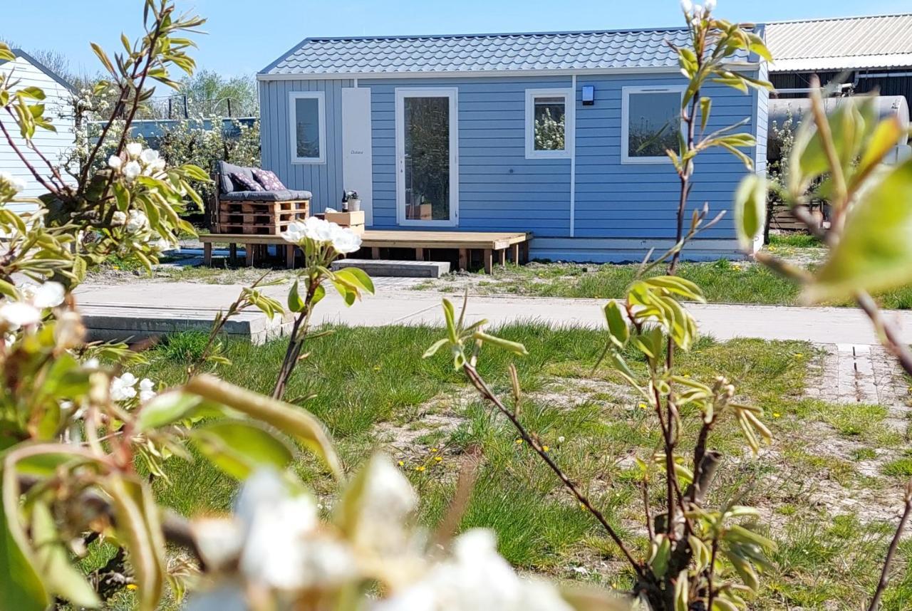 Chalet Elstar Hengstdijk Extérieur photo